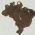 estamparia em metal bijuterias 0767 pingente mapa brasil com bandeira resina 28X18mm dourado 10 ps