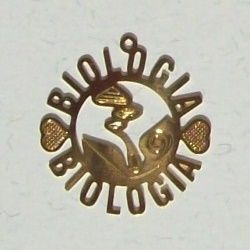 pingente de profiss�es biologia 28mm dourado 05 pe�as