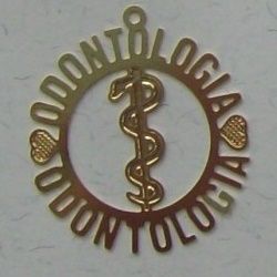 pingente de profiss�es odontologia 28mm dourado 04 pe�as