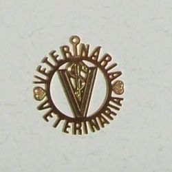 pingente de profiss�es veterin�ria 28mm dourado 05 pe�as