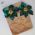 Brinco esmaltado flor 38mm verd esmeralda miolo pedra redonda light peach cristal 1Par