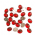 chaton para costura com furos oval 10x08mm vermelho trnasp. com espelho 2 furos 100 peças