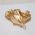 pino base para brinco gota 16,6x8x0,40mm lato dourado ouro com tarraxa 10 peas 5 pares